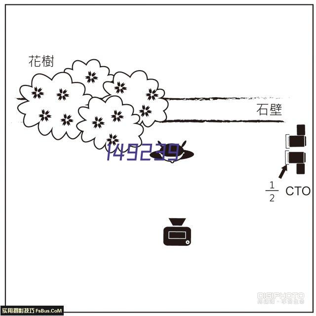 理光激光打印机P201W