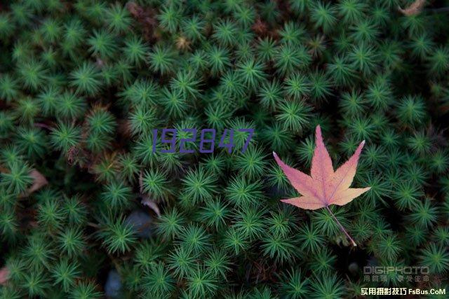 预制水泥化粪池/组合式化粪池