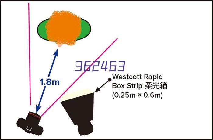 UF9060/DSE12/0.9LC日本进口dentsu体视显微镜用LED面