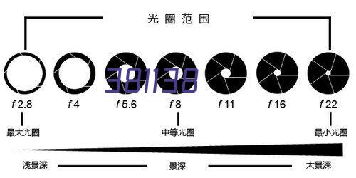 中国医养产业链整合