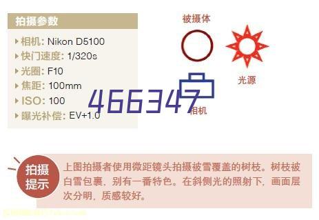 羿科Aegle全身救援豪华型安全带+双头缓冲带 套装PN56+PN361 1套