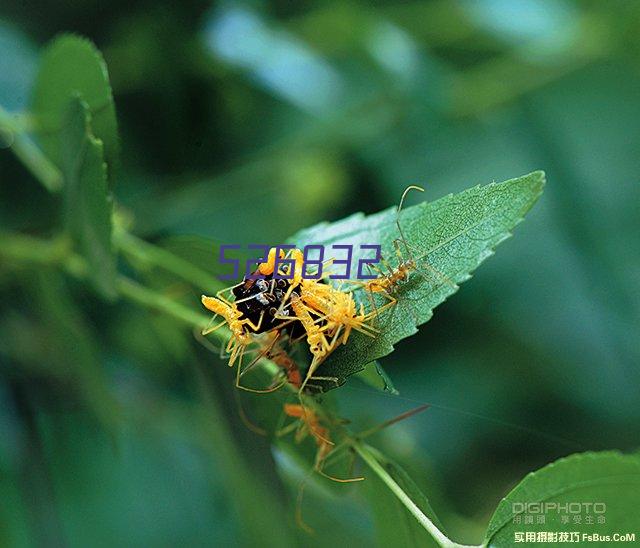 袁方谈杨瀚森：一个无力决定自己未来的人 没什么可恭喜和羡慕的