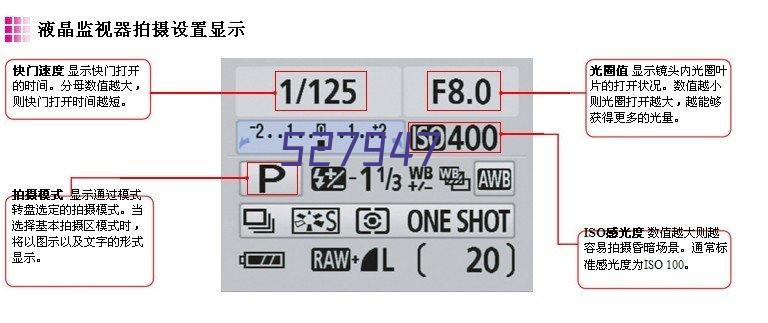 西南骇客女篮