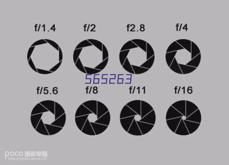 BDX节能高效固液分离机