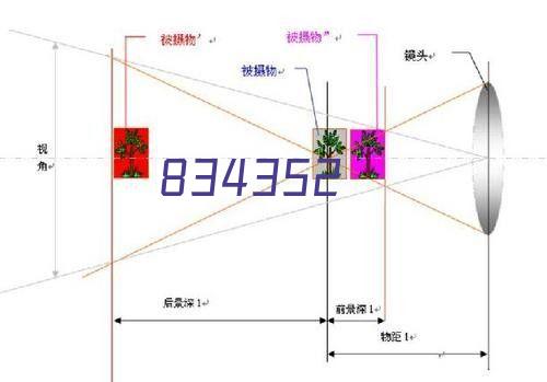 3寸中型平板铸铁万向轮